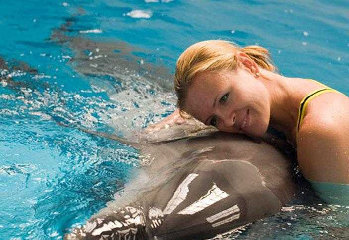 Image Of Dubai Dolphin Show